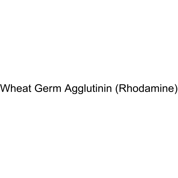 Wheat Germ Agglutinin (Rhodamine)